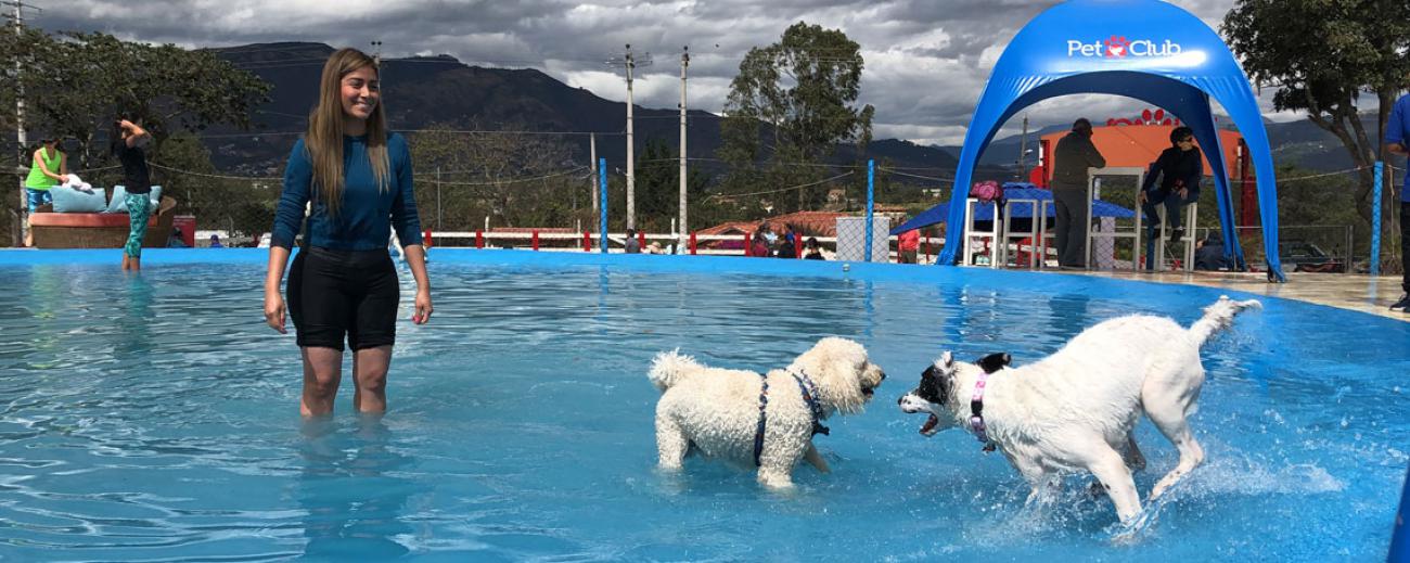 La piscina tiene una profundidad máxima de 60 centímetros para evitar accidentes. Foto: Diego Pallero / FAMILIA