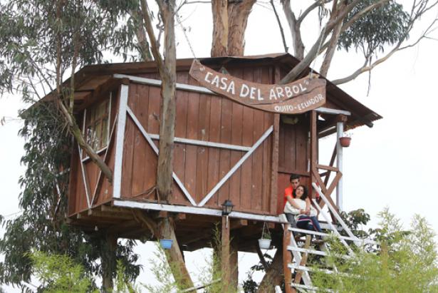 En la casa del árbol se puede pasar la noche. Es una cabaña cómoda en lo alto de un árbol. Foto: Vicente Costales / FAMILIA