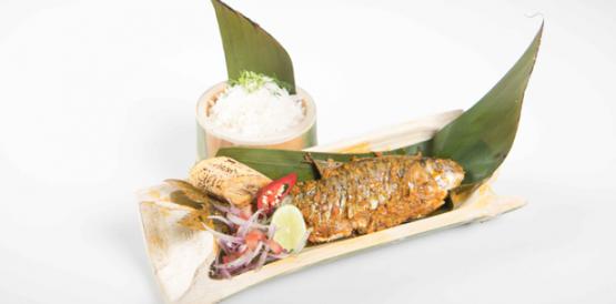 Encanutado de bocachico, receta de Los Ríos con el pez de agua dulce cocinándolo con leña dentro de una caña guadúa.